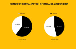 BTC Dominance (BTC.D) là gì? Tỷ lệ thống trị trị trường của Bitcoin?